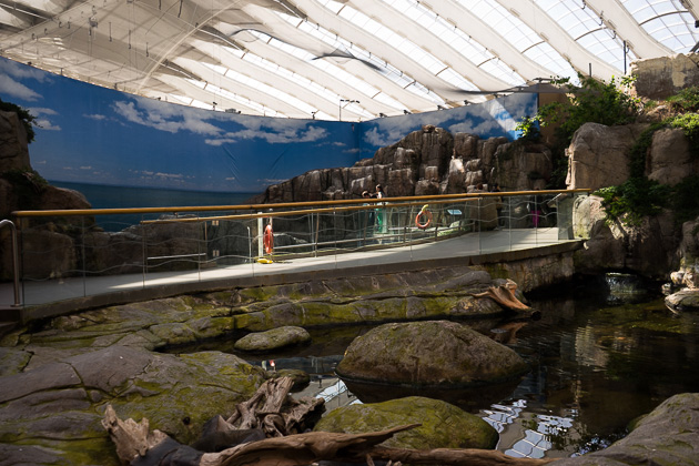 Read more about the article The Biodôme at the Olympic Park