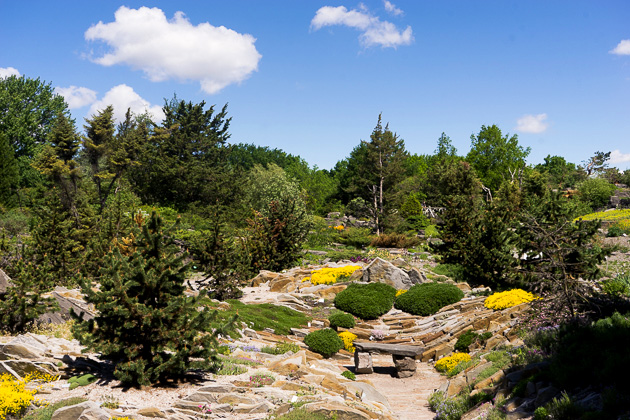 Read more about the article The Montreal Botanical Garden