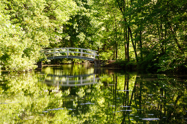 Read more about the article The Islands: Île Sainte-Hélène