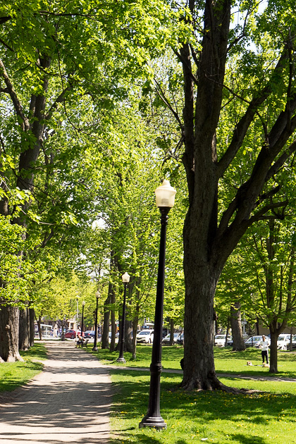 Read more about the article The Parc La Fontaine